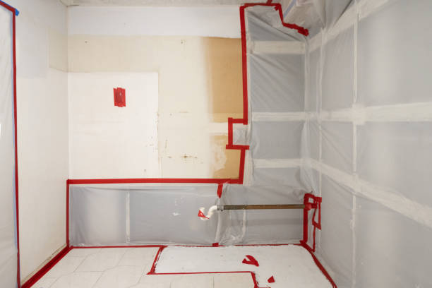 Best Attic Mold Removal  in Ravenna, MI