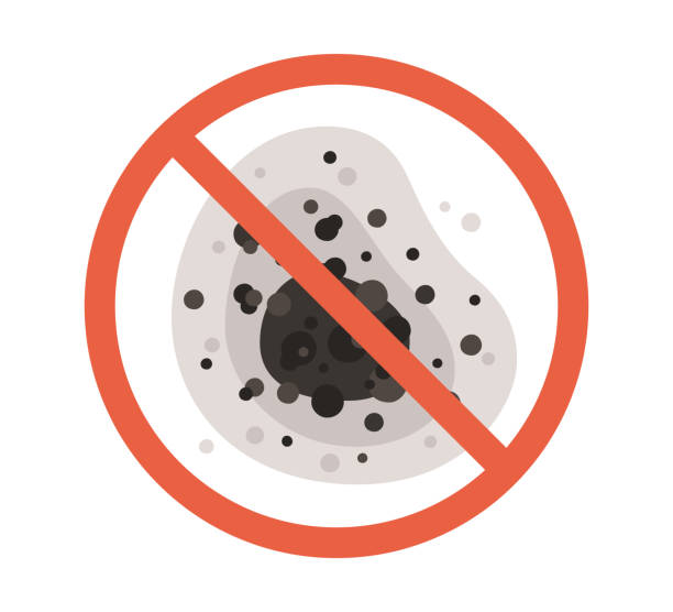 Best Commercial Mold Inspection  in Ravenna, MI